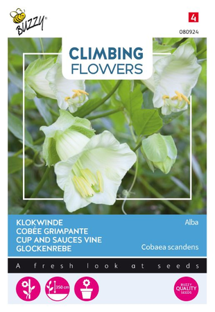 Flowering climbers cobaea wit 2gram - afbeelding 1