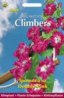 Flowering climbers ipomoea dubb. 2g - afbeelding 3