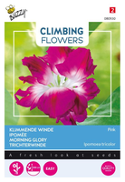Flowering climbers ipomoea dubb. 2g - afbeelding 1