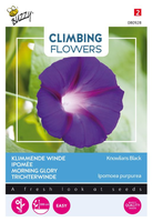 Flowering climbers ipomoea knowl 2gram - afbeelding 1