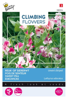 Flowering climbers lathyrus unwi 4gram - afbeelding 1