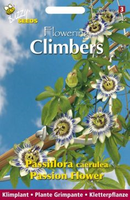 Flowering climbers passiflora 0.5gram - afbeelding 3