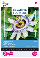 Flowering climbers passiflora 0.5gram - afbeelding 1