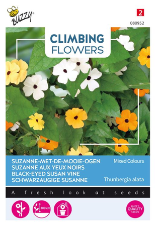 Flowering climbers thunbergia 0.5gram - afbeelding 1