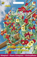 Flowering climbers tropaeolum je 3gram - afbeelding 4