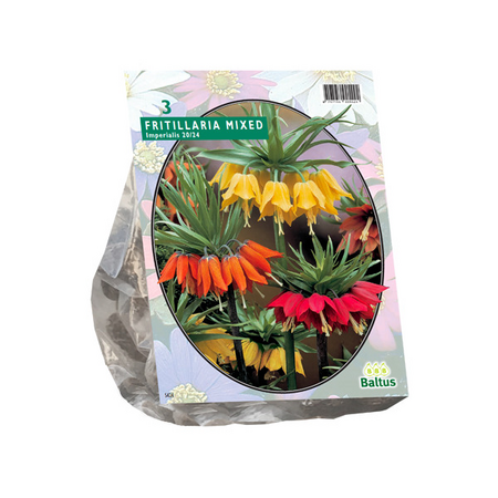 Fritillaria imperialis mix 3st