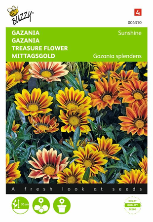Gazania splendens hybrida sun 0.25gram - afbeelding 1