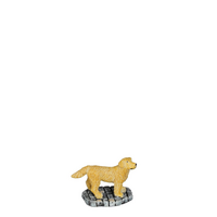 Golden retriever - l3,5xb2xh3,5cm