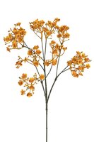 Gypsophilasteel l70cm oranje