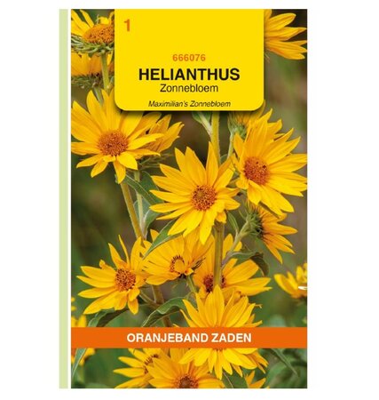 Helianthus maximilian 0.4g