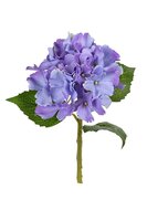 Hortensia l32cm lila