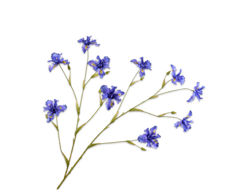 Irissteel l125cm blauw
