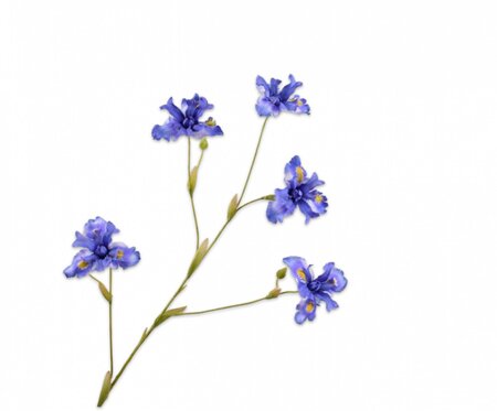 Irissteel l86cm blauw