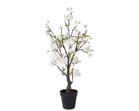 Kersenbloesem pes d35h80cm wit