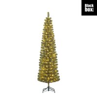 Kerstboom Charlton pilar 160l d56h215 groen