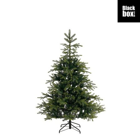 Kerstboom grimshaw d132h185 grn