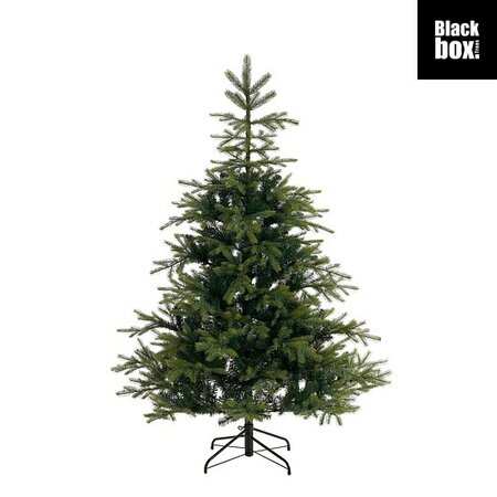 Kerstboom grimshaw d152h215 grn