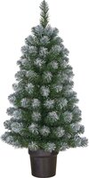 Kerstboom norton d50h90cm groen