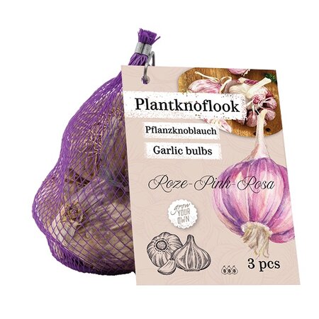 Knoflook roze in netlon 3st