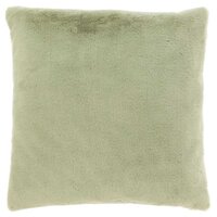 Kussen klaas 45x45cm tea green