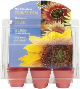 Kweekset kasje zonnebloemen - afbeelding 1