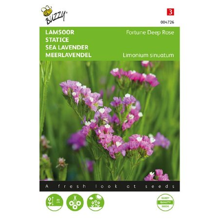 Limonium fortune deep rose 0.2g - afbeelding 1