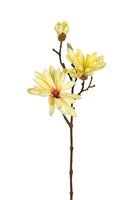 Magnoliasteel l46cm lt geel