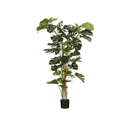 Monstera boom d145h190cm groen