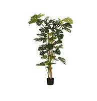 Monstera boom d145h190cm groen