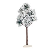 Mountain pine h23d10.5cm