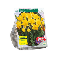 Narcis trompet. geel per 20