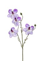 Orchidee l55cm lila