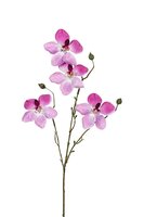 Orchidee l55cm magenta