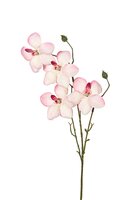 Orchidee l55cm roze