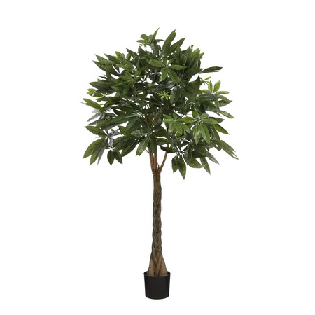 Pachira in pot d50h120cm groen