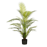 Palm areca in pot d50h121cm groen