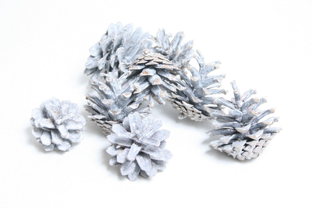 Pinecones 200g silvester frosted