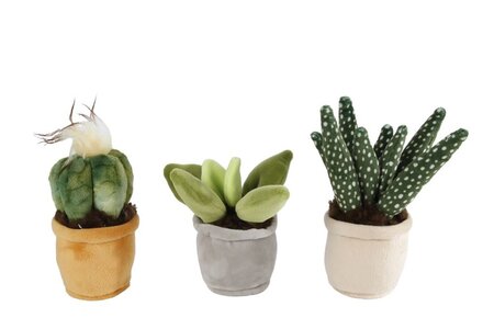 Plant pluche s h12-17cm a3