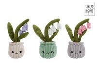 Plant sneeuwklok 24cm a3