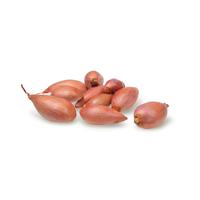 Plantsjalotten longor 500g