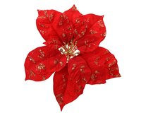 Poinsettia pes d25h8cm rood/goud