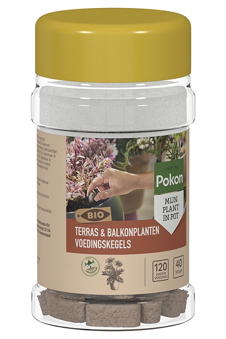 Pokon Bio Terras & Balkon Planten Voedingskegels 40 stuks
