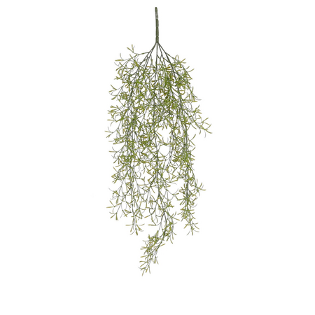 Rhipsalis hang l75b15h15cm groen