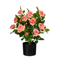 Roos in pot d40h60cm zalm