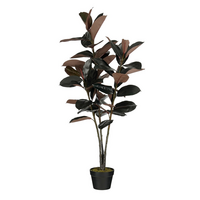 Rubberplant in pot d80h120cm rood