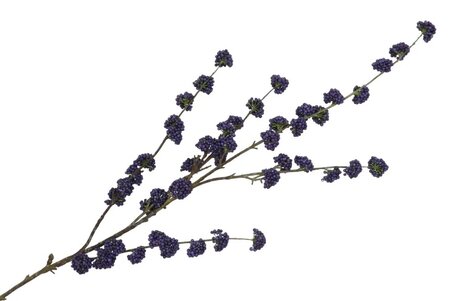 SILK BERRY CALLICARPA BLUE 130CM