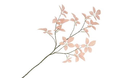 SILK LEAF ELDER CHAMPAGNE 124CM