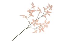 SILK LEAF ELDER CHAMPAGNE 124CM