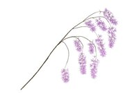 SILK WISTERIA LIGHT PURPLE 130CM