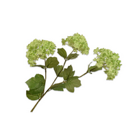 Sneeuwbaltak l62cm groen